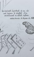 Kai Beisswenger : Les événements importants…