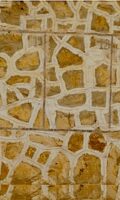 Dorothea Carl : Leer bleiben