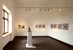 Sonderausstellungsraum 2  2 . Stock Haus der Fotografie