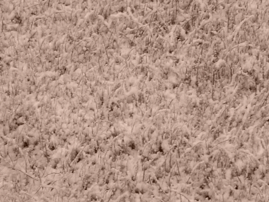 snow