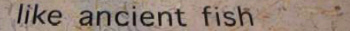 like ancient fish