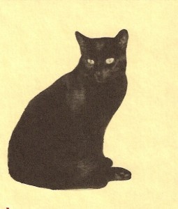 Kater Nero selbst