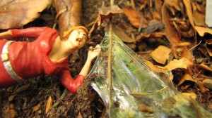 die ferne kusine in urnäsch