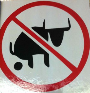 Stier