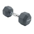 Standard Dumbbells