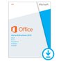 Microsoft Office Home and Business 2013  (1PC/1User)