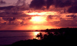 Watch the sunrise over the pristine coastline of Turtle Bay on the northern tip of Oahu, home to the endangered Hawaiian Monk Seal.