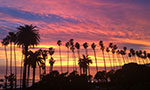 You are watching the Golden Hour channel, a special presentation of sunrises and sunsets brought to you in real time from around the globe. Vibrant colors awaken the islands and coastal perches along the Atlantic Coast. A new dawn fans over the Midwest, lighting the plains for mighty wandering bison and beginning the day for elephants and zebras of Kenya’s grasslands. As the beaches of Santa Monica and Hawaii slip into night, reflect on the Pacific Ocean shifting from azure to crimson then fading to black.
Stay and enjoy the magic hour at any hour. Send your sunset pics to share@explore.org or share them in the comments below the cam.
