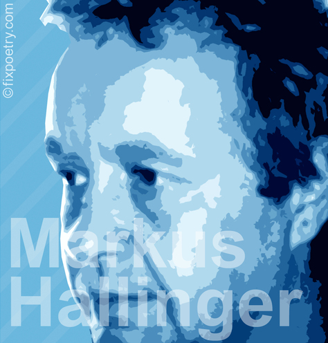 Markus Hallinger Autor Biographie
