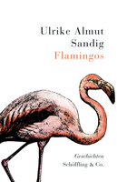 Flamingos von Ulrike Almut Sandig Buch bestellen