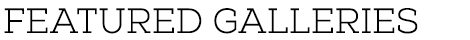 Featured Galleries