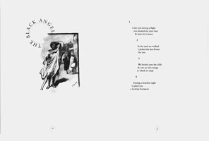 Page 30-31