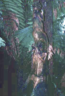 The William Ricketts Sanctuary