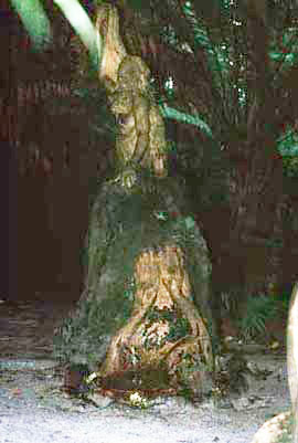 The William Ricketts Sanctuary