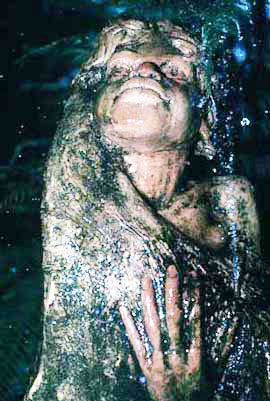The William Ricketts Sanctuary