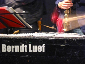 Berndt Luef