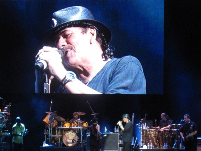 Live | Photo by Gerald Ganglbauer