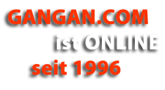 20 Jahre online