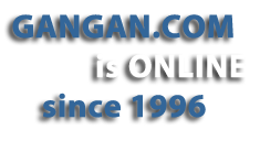 20 years online