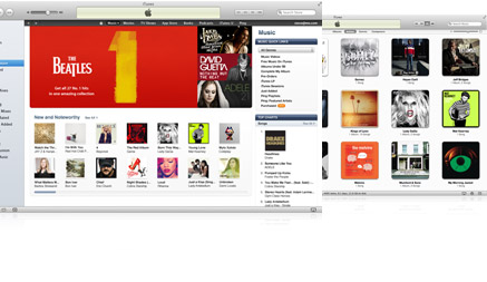 iTunes Store und Gitterdarstellung in iTunes 10
