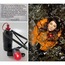 kate bush objet en raport du concert before the dawn