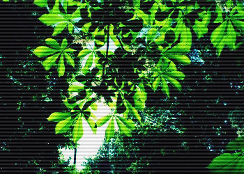 wald_350