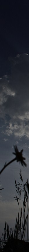 nachtspaziergang_hoch