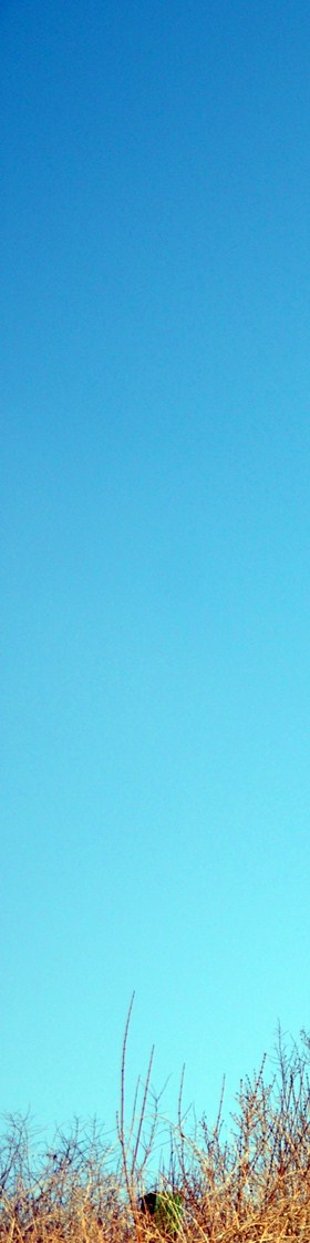 Himmel wolkenlos
