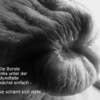 Hanna M. Scotti: Die Borste