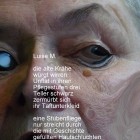 Hanna M. Scotti: Luise M.