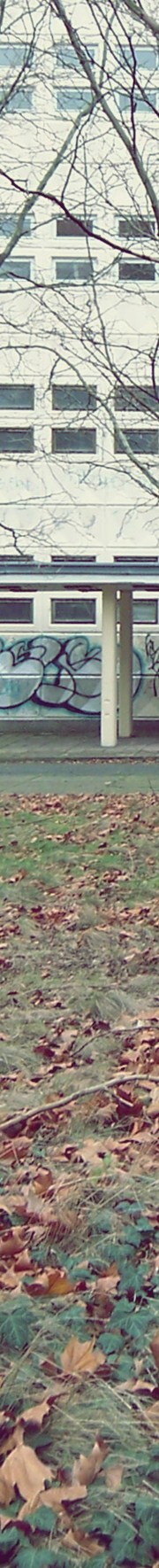 Plattenjugend