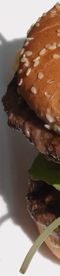 burger_120x546px