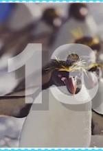 frozenplanet13