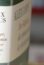 derfaelscher die spionin derfaelscher die spionin