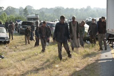Zombies auf Nahrungssuche