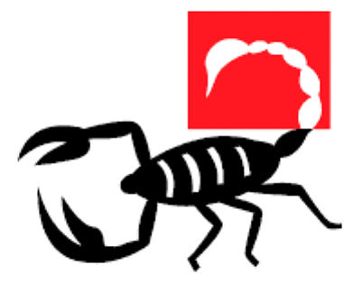 DER SKORPION