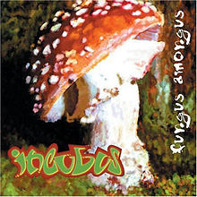 FUNGUS AMONGUS