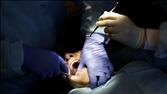Why Dentists Are Big Political Players