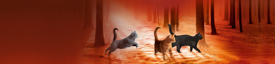 Livestream Lesung mit Victoria Holmes vom Autorenteam Erin Hunter