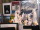 im Wiener Rathaus fand die 4.' Amateur'-kunstmesse statt