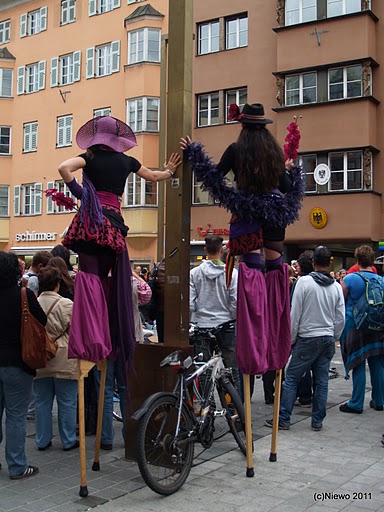 p6114421.jpg