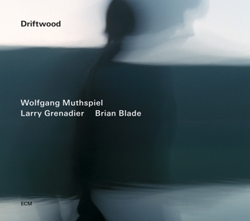 Wolfgang Muthspiel | Driftwood | ECM 2349 Wolfgang Muthspiel | Driftwood | ECM 2349