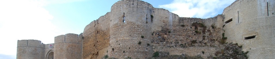 Burg von Falaise