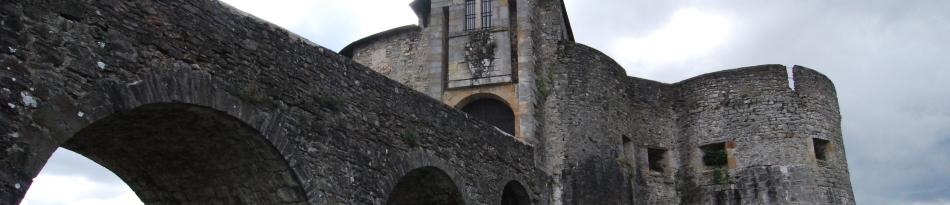 Château Fort de Mauléon
