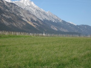 IMG_3248