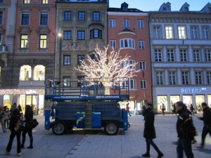 IMG_5047