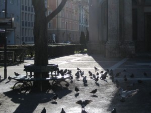 IMG_5080