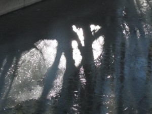 IMG_5156