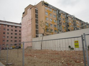 IMG_5739