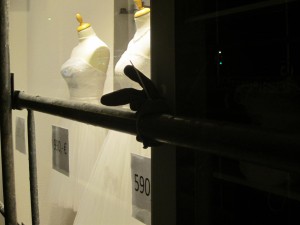 IMG_5877